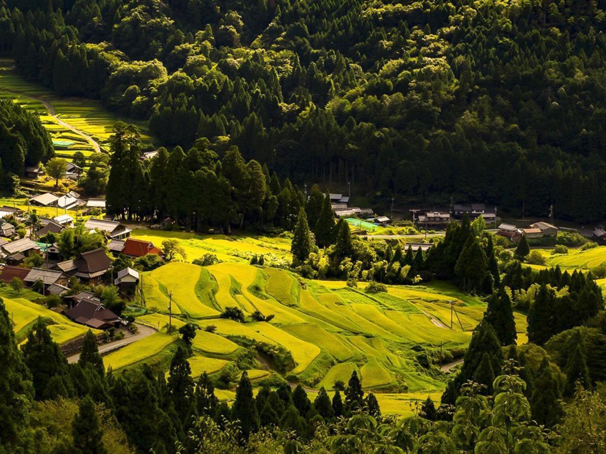 Racine Home Harie Takashima Buitenkant foto